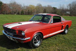 '66 GT350 Pictures