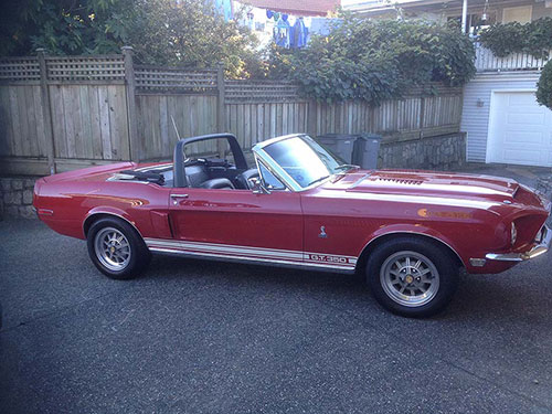 View '68 Shelby GT350 Pictures